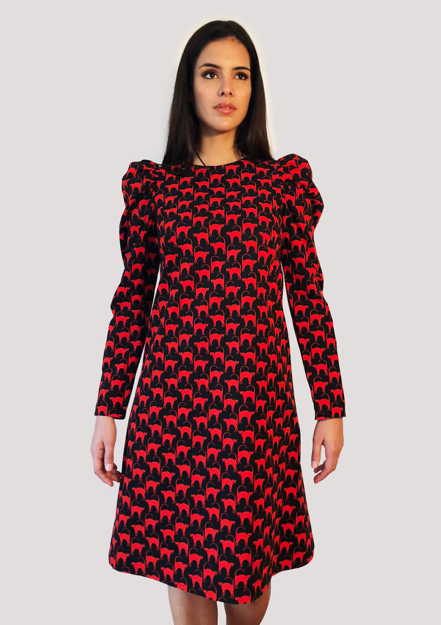 Cats- Dress puffy sleeves